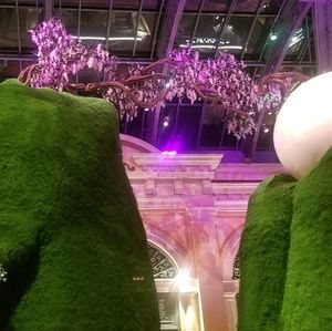 Meet your Posher, Ruth